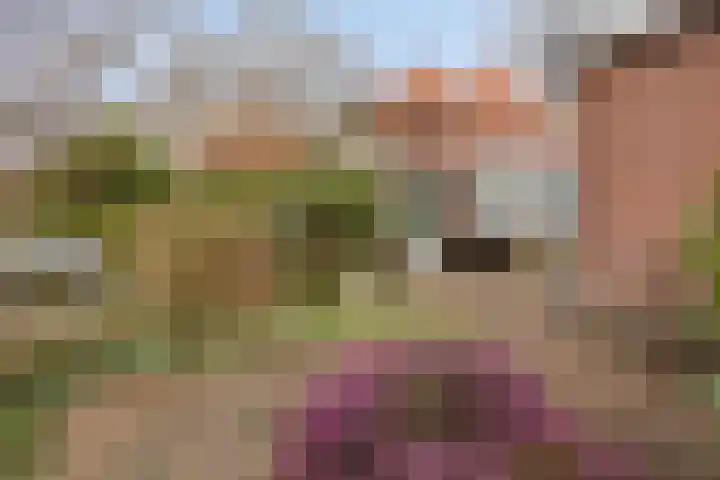 Van Goghstraat 2 Arnhem thumbnail 47