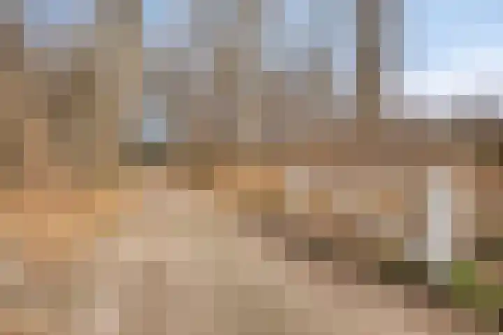 Van Goghstraat 2 Arnhem thumbnail 58