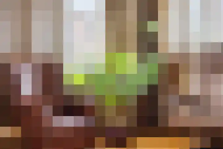 Van Goghstraat 2 Arnhem thumbnail 9