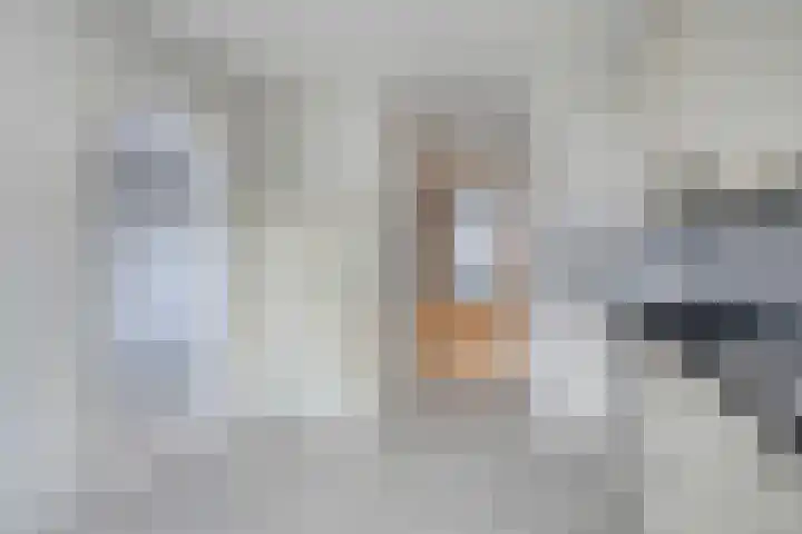 van Goghstraat 4 Spaubeek thumbnail 12