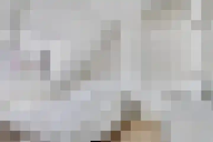 Van Goghstraat 44 Arnhem thumbnail 18