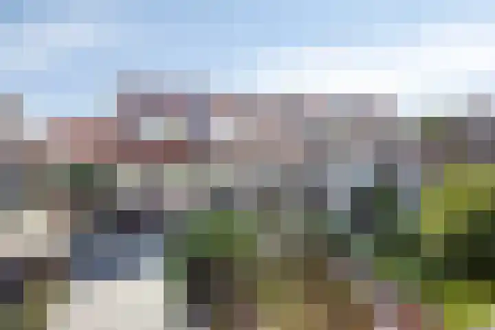 Van Goghstraat 44 Arnhem thumbnail 26