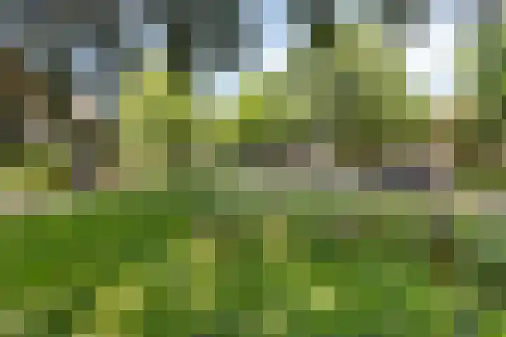 Van Goghstraat 44 Arnhem thumbnail 28