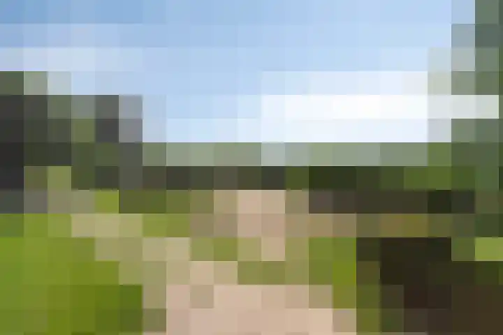 Van Goghstraat 44 Arnhem thumbnail 29