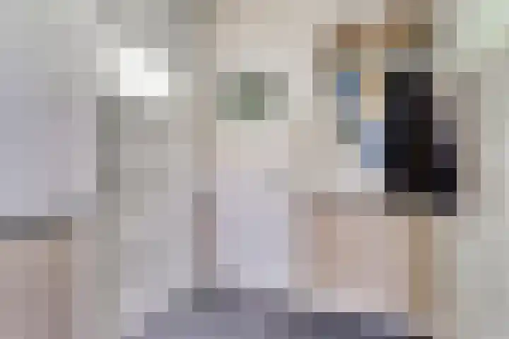 Van Goghstraat 44 Arnhem thumbnail 6