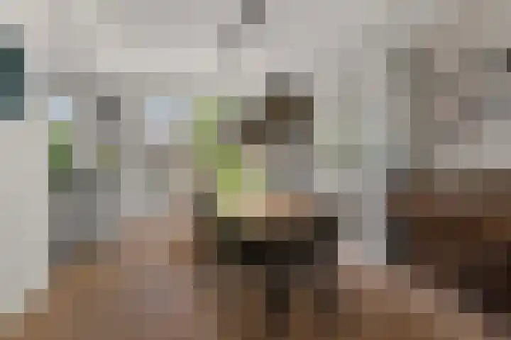 Van Goghstraat 5 Arnhem thumbnail 13