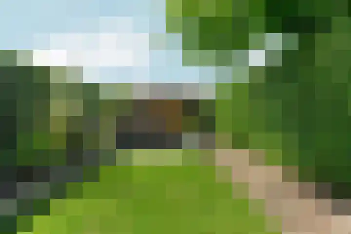 Van Goghstraat 5 Arnhem thumbnail 49