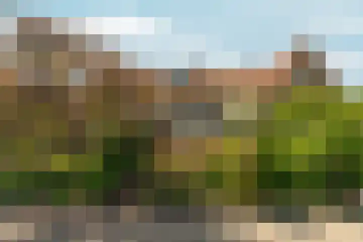 Van Goghstraat 5 Arnhem thumbnail 62