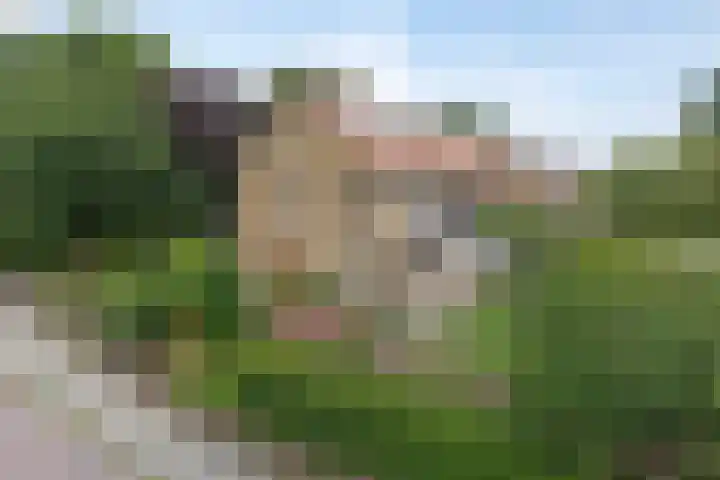 Van Goghstraat 72 Arnhem thumbnail 13