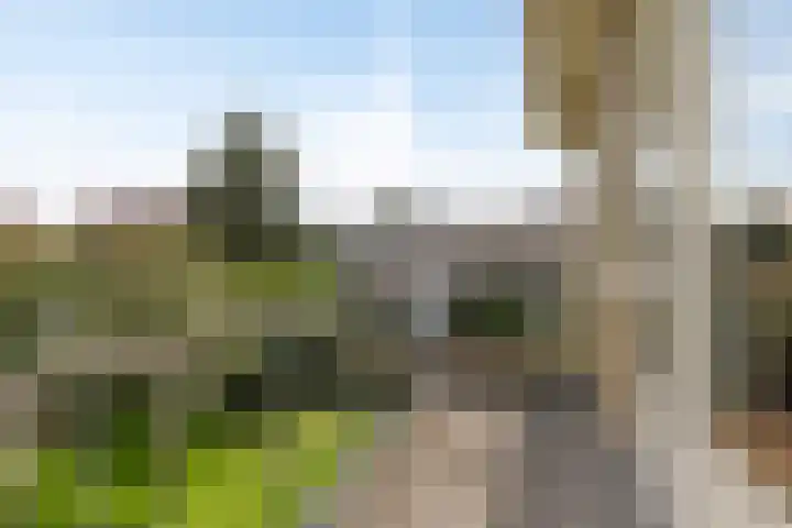 Van Goghstraat 72 Arnhem thumbnail 24
