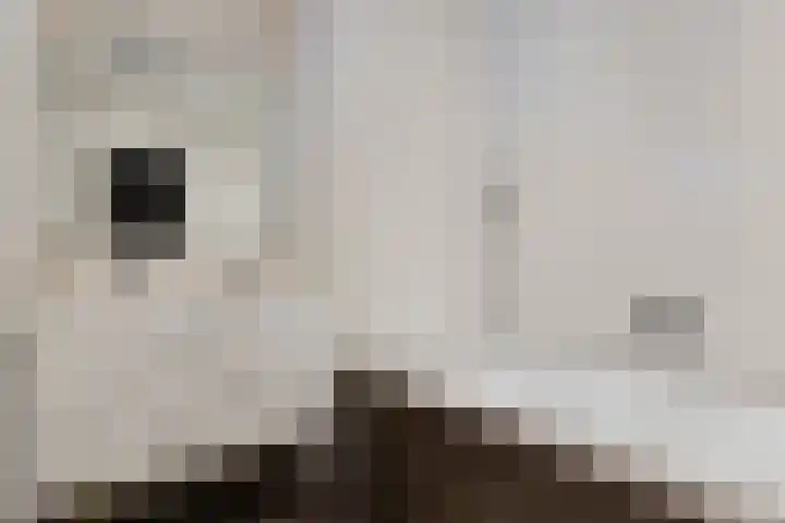 Van Goghstraat 72 Arnhem thumbnail 28