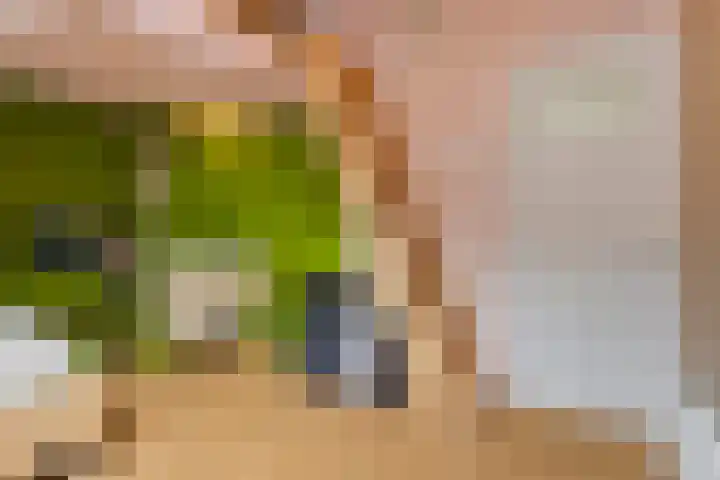 Van Goghstraat 72 Arnhem thumbnail 36