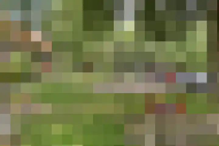 Van Goghstraat 72 Arnhem thumbnail 43