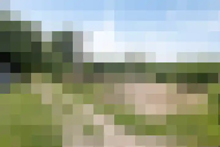 Van Goghstraat 72 Arnhem thumbnail 44