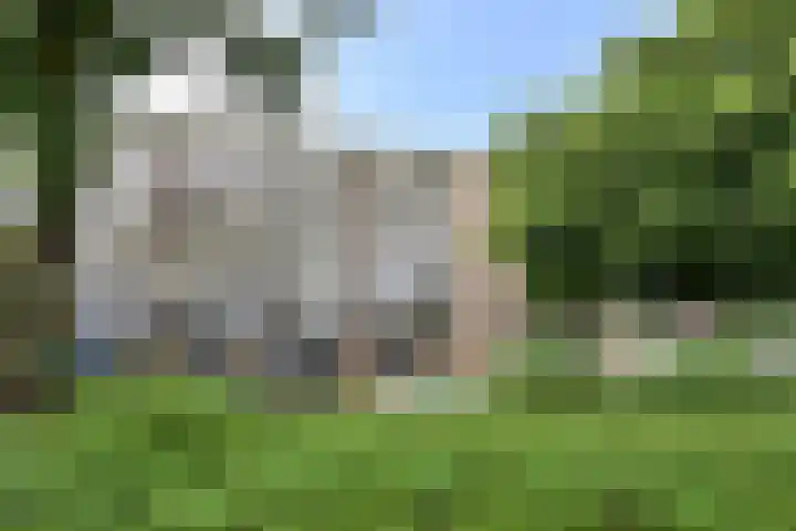 van Goyenlaan 160 dans Soest