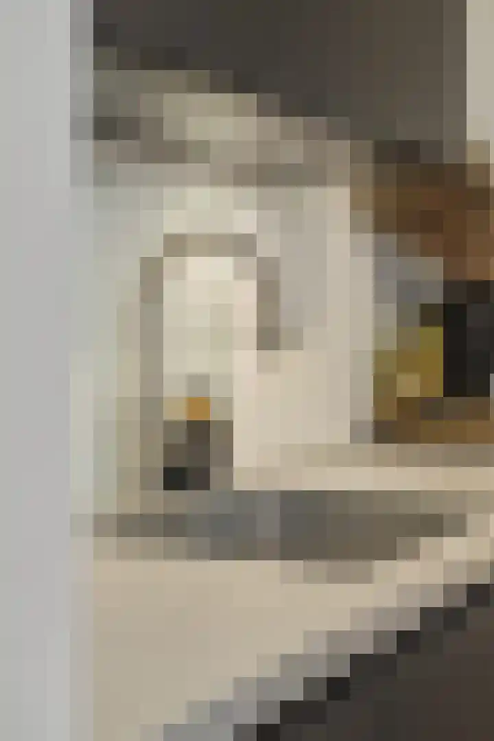 Van Grunsven-erf 16 Heesch thumbnail 10