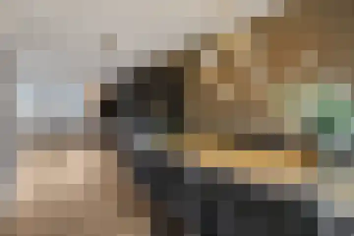 Van Grunsven-erf 16 Heesch thumbnail 13