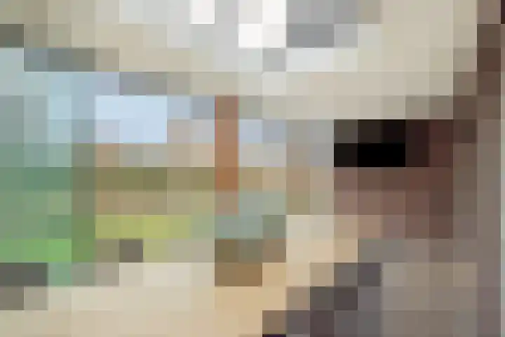 Van Grunsven-erf 16 Heesch thumbnail 33
