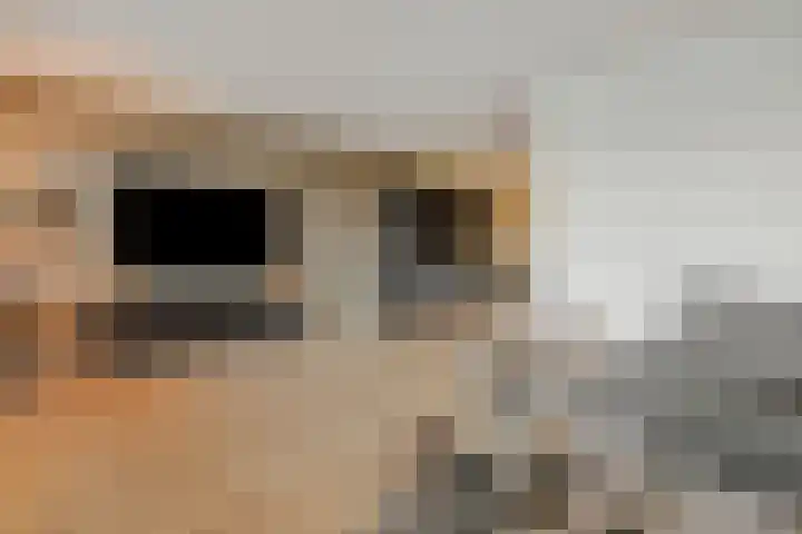 Van Grunsven-erf 16 Heesch thumbnail 5