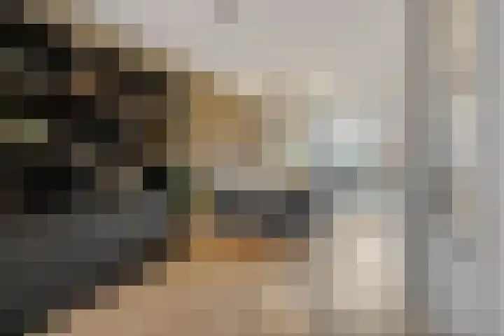 Van Grunsven-erf 16 Heesch thumbnail 6