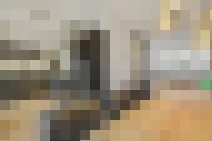 Van Grunsven-erf 16 Heesch thumbnail 8