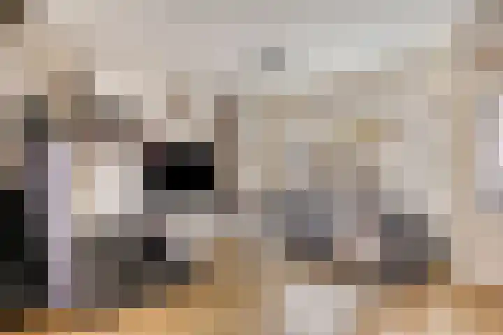 Van Hallstraat 12 Goes thumbnail 11