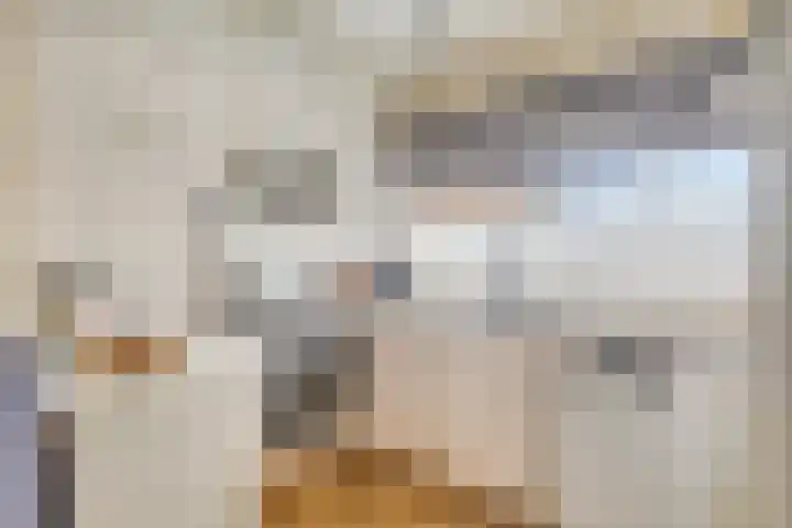 Van Hallstraat 12 Goes thumbnail 16