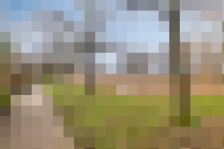 Van Hallstraat 12 Goes thumbnail 27
