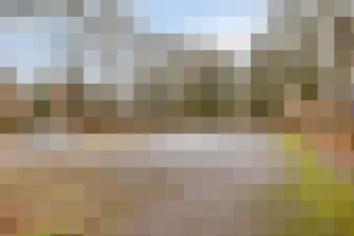 Van Hallstraat 12 Goes thumbnail 28