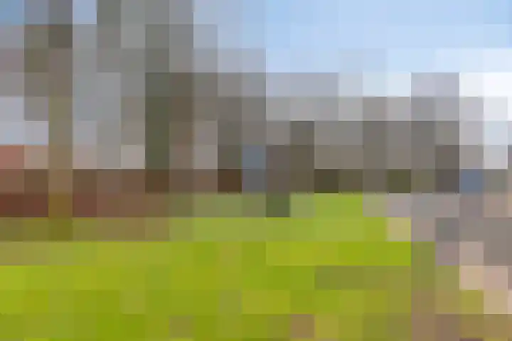 Van Hallstraat 12 Goes thumbnail 29