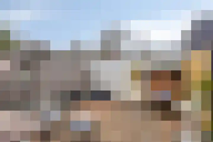 Van Hallstraat 12 Goes thumbnail 5