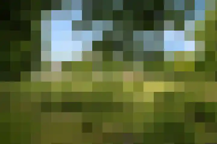 Van Hallstraat 51 Zwanenburg thumbnail 44