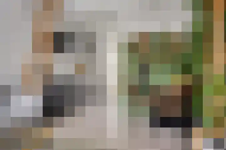 Van Hallstraat 6 Goes thumbnail 10