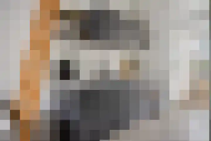 Van Hallstraat 6 Goes thumbnail 11