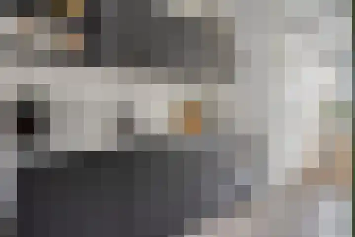 Van Hallstraat 6 Goes thumbnail 13
