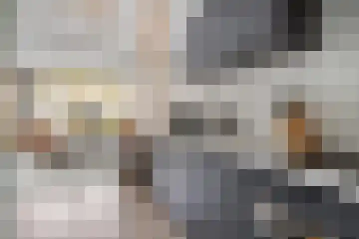 Van Hallstraat 6 Goes thumbnail 14