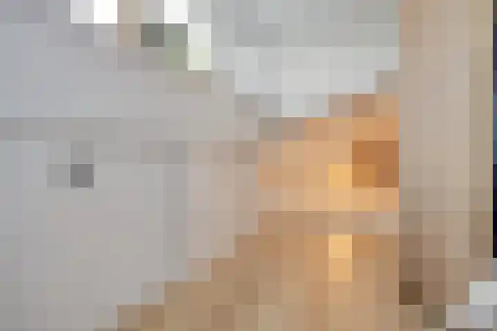 Van Hallstraat 6 Goes thumbnail 17