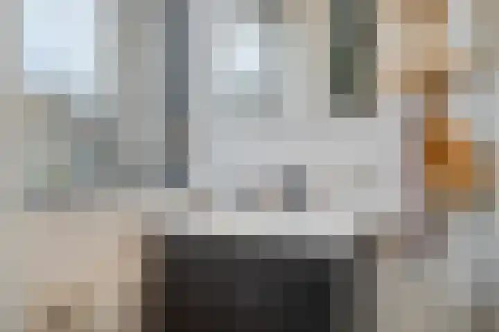 Van Hallstraat 6 Goes thumbnail 18