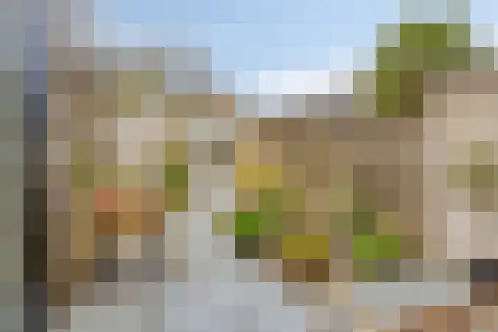Van Hallstraat 6 Goes thumbnail 20