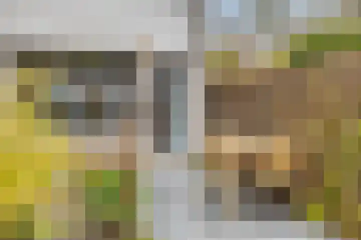 Van Hallstraat 6 Goes thumbnail 21