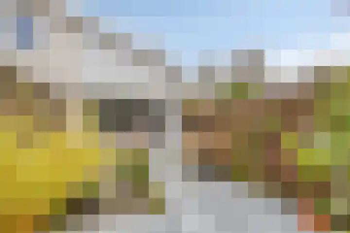 Van Hallstraat 6 Goes thumbnail 22