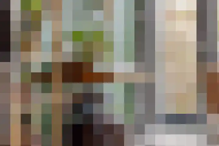 Van Hallstraat 6 Goes thumbnail 8