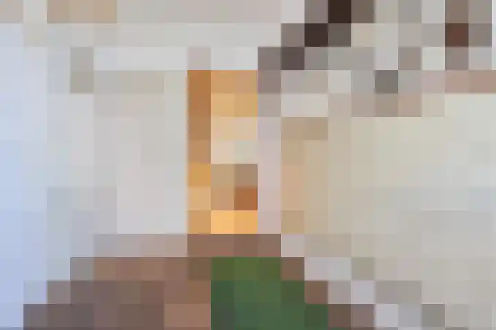 van Hamelstraat 81 Soest thumbnail 4