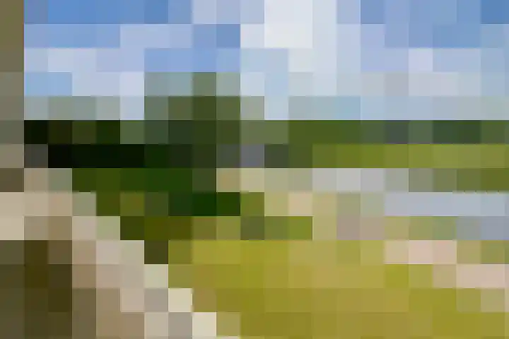 van Harinxmaplein 109 Leeuwarden thumbnail 4