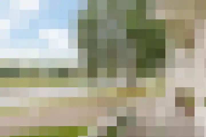 van Harinxmaplein 96 Leeuwarden thumbnail 27