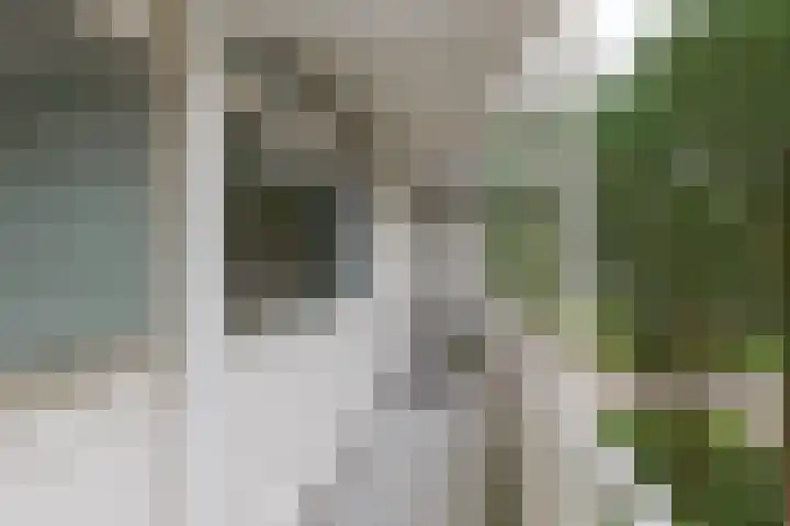 van Harinxmaplein 96 Leeuwarden thumbnail 5