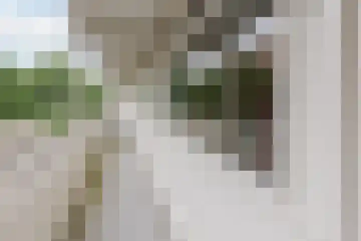 van Harinxmaplein 96 Leeuwarden thumbnail 6
