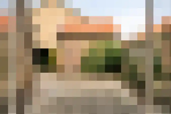 van Hasseltstraat 17 Zutphen thumbnail 30