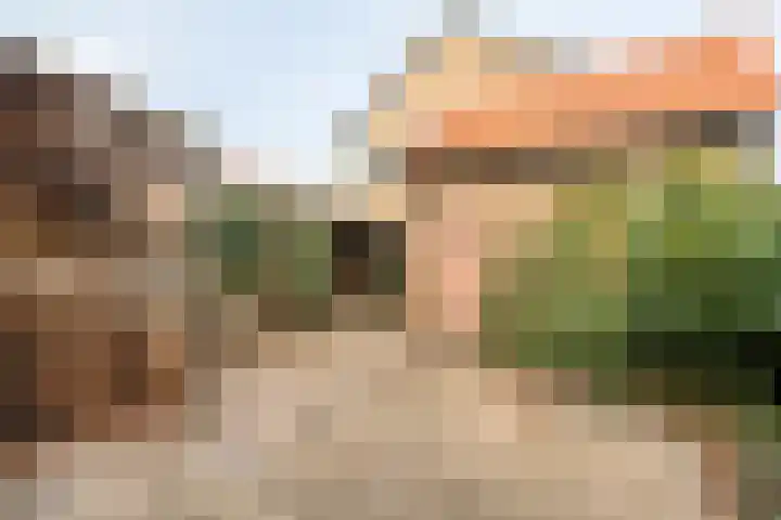 van Hasseltstraat 17 Zutphen thumbnail 31