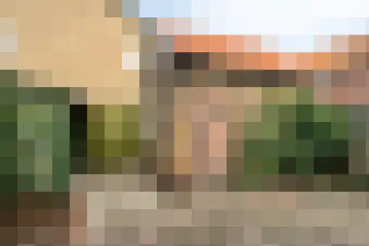 van Hasseltstraat 17 Zutphen thumbnail 32